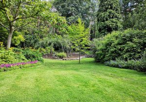 Optimiser l'expérience du jardin à Chazelles-sur-Lavieu